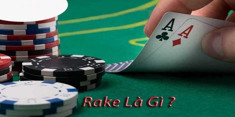 Vai trò nổi bật của Rake và Rake là gì trong Poker? 